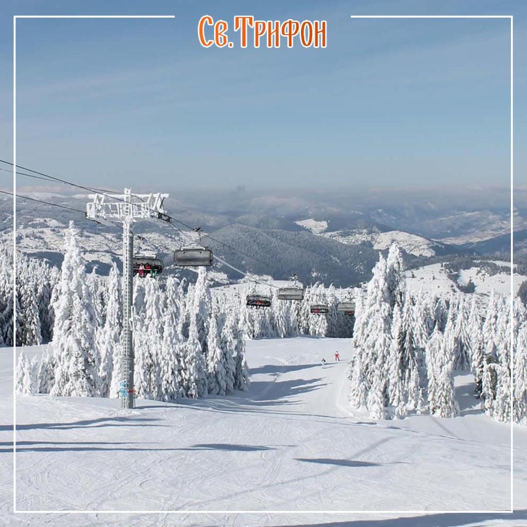 Апартаменти Свети Трифон Pamporovo Dış mekan fotoğraf